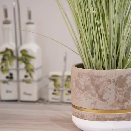 αqua Dream Apartman *